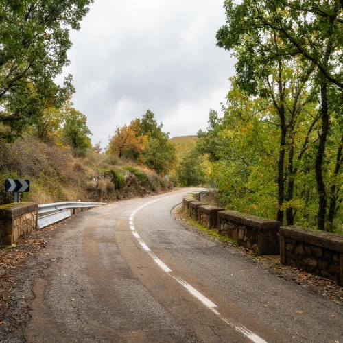 Open road beside a rental vehicle
